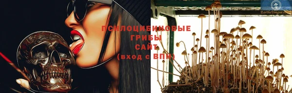 мдпв Волосово
