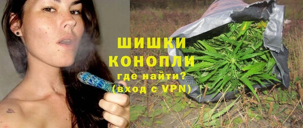 мдпв Волосово